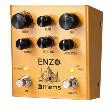 Meris Enzo Multi-Voice Instrument Synthesizer (новый)