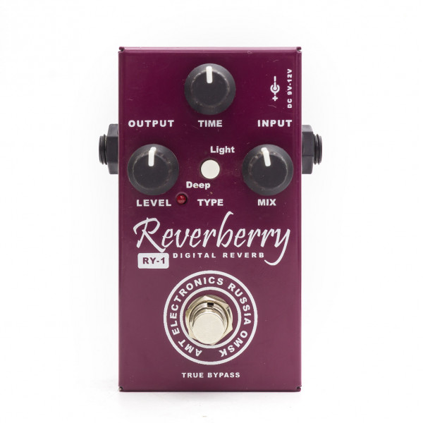 AMT RY-1 Reverberry 