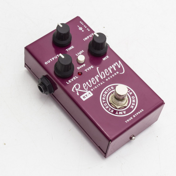 AMT RY-1 Reverberry 