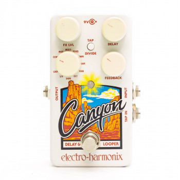 Electro-Harmonix Canyon Delay and Looper